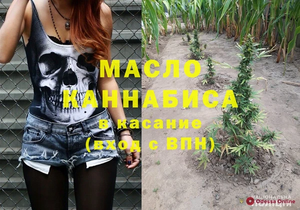 стафф Заводоуковск