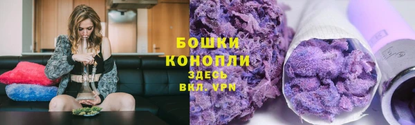 ГАЛЛЮЦИНОГЕННЫЕ ГРИБЫ Арсеньев