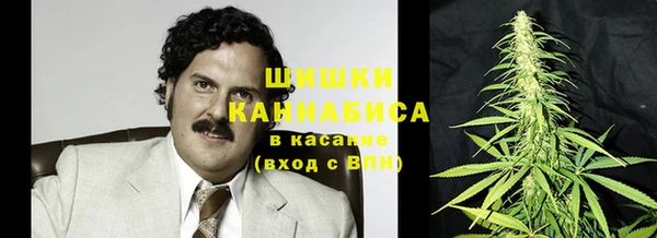 ГАЛЛЮЦИНОГЕННЫЕ ГРИБЫ Арсеньев