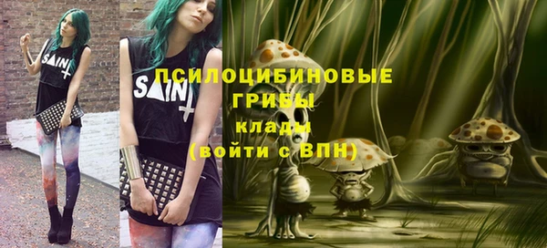 крисы Армянск