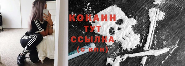 ГАЛЛЮЦИНОГЕННЫЕ ГРИБЫ Арсеньев