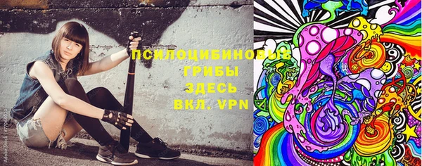 каннабис Аркадак