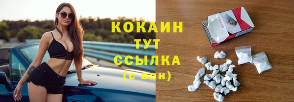 крисы Армянск